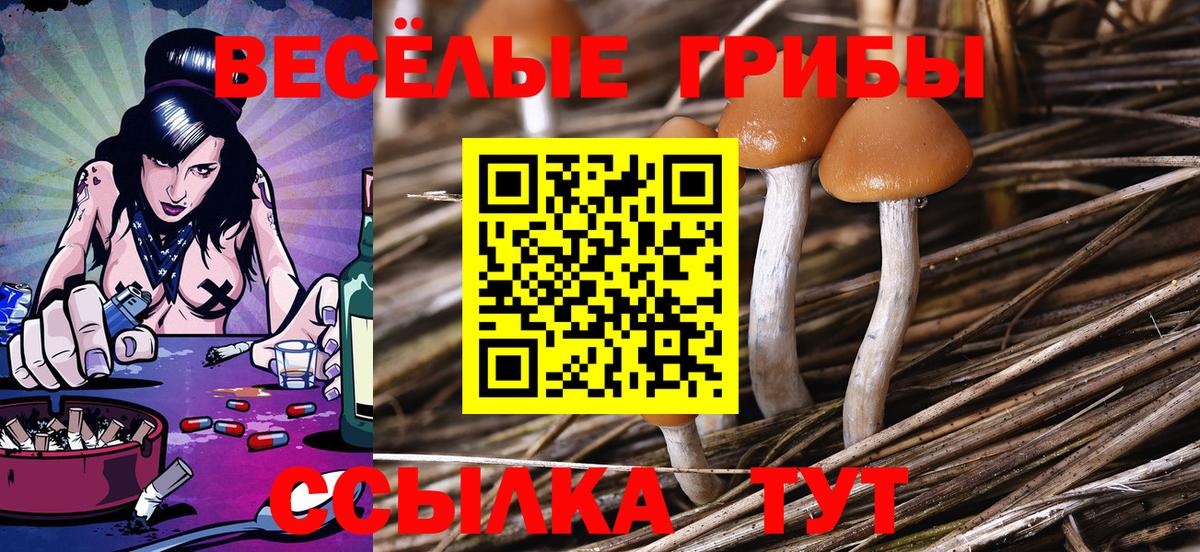 Галлюциногенные грибы MAGIC MUSHROOMS Унеча