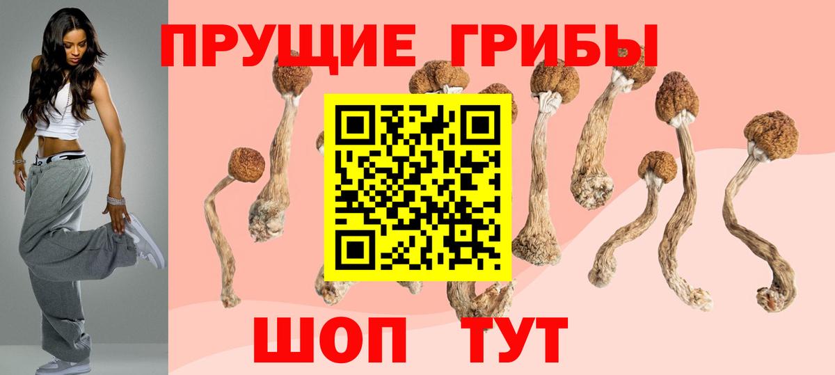 Псилоцибиновые грибы ЛСД  Вход с VPN  Унеча 